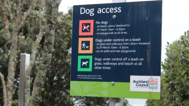 Off-Leash Dog Walking in Auckland: A Guide for Dog Owners